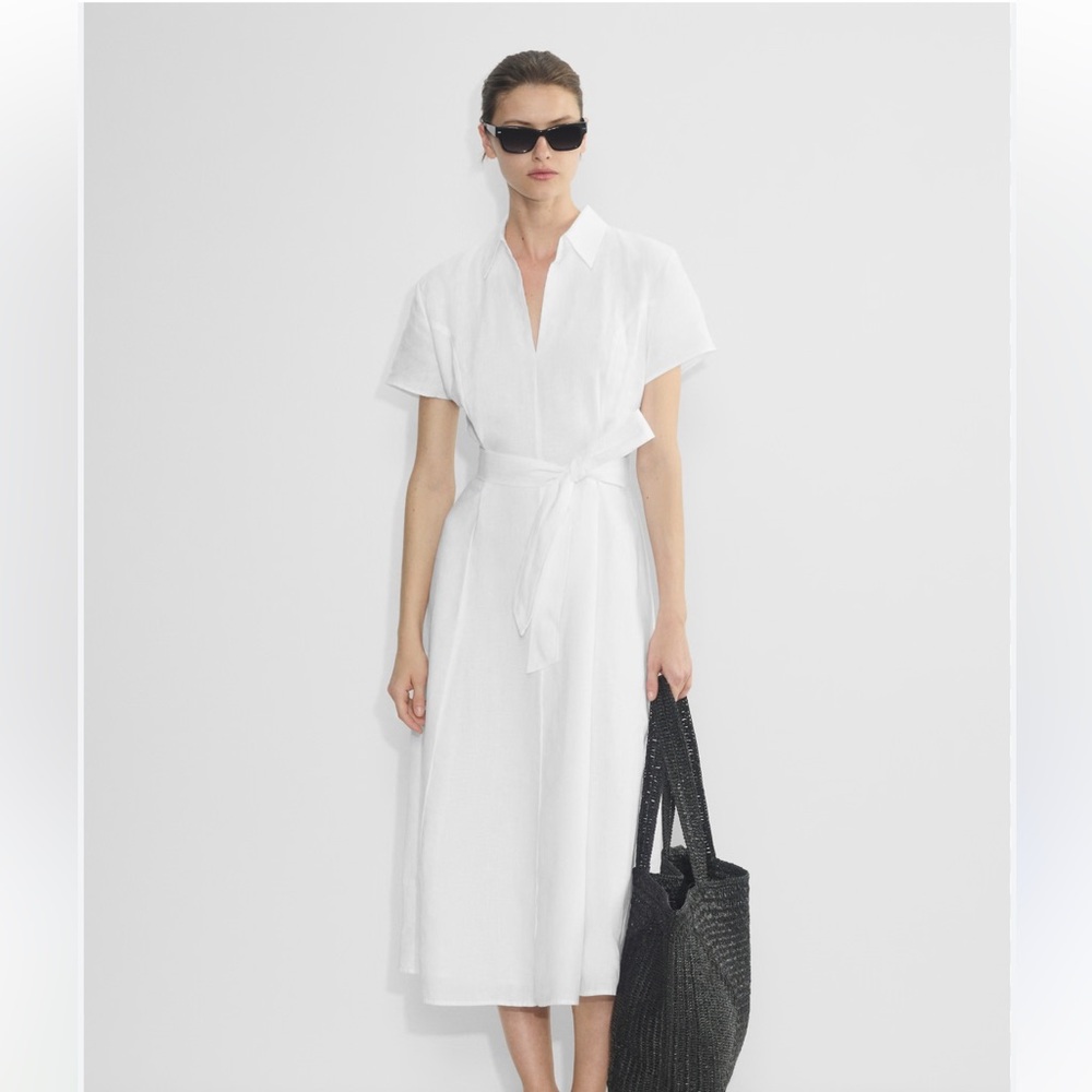 Aritzia Packard Dress